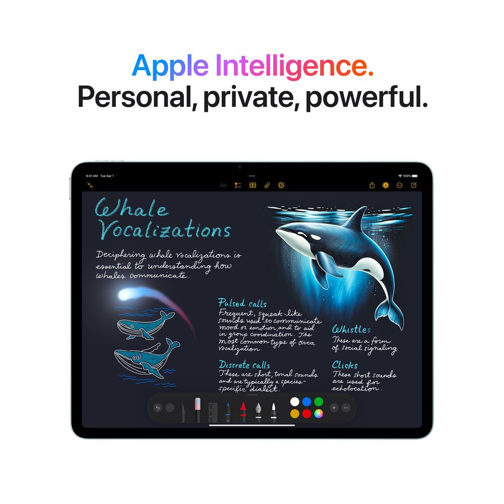 Apple iPad Air M3 13″ – 256GB Wi-Fi Only