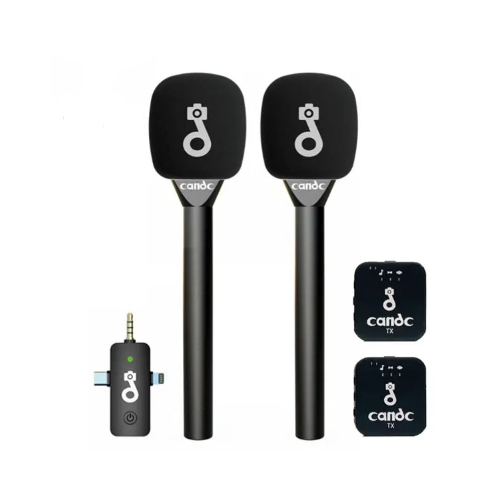 Candc Dual Mic Interview Microphone