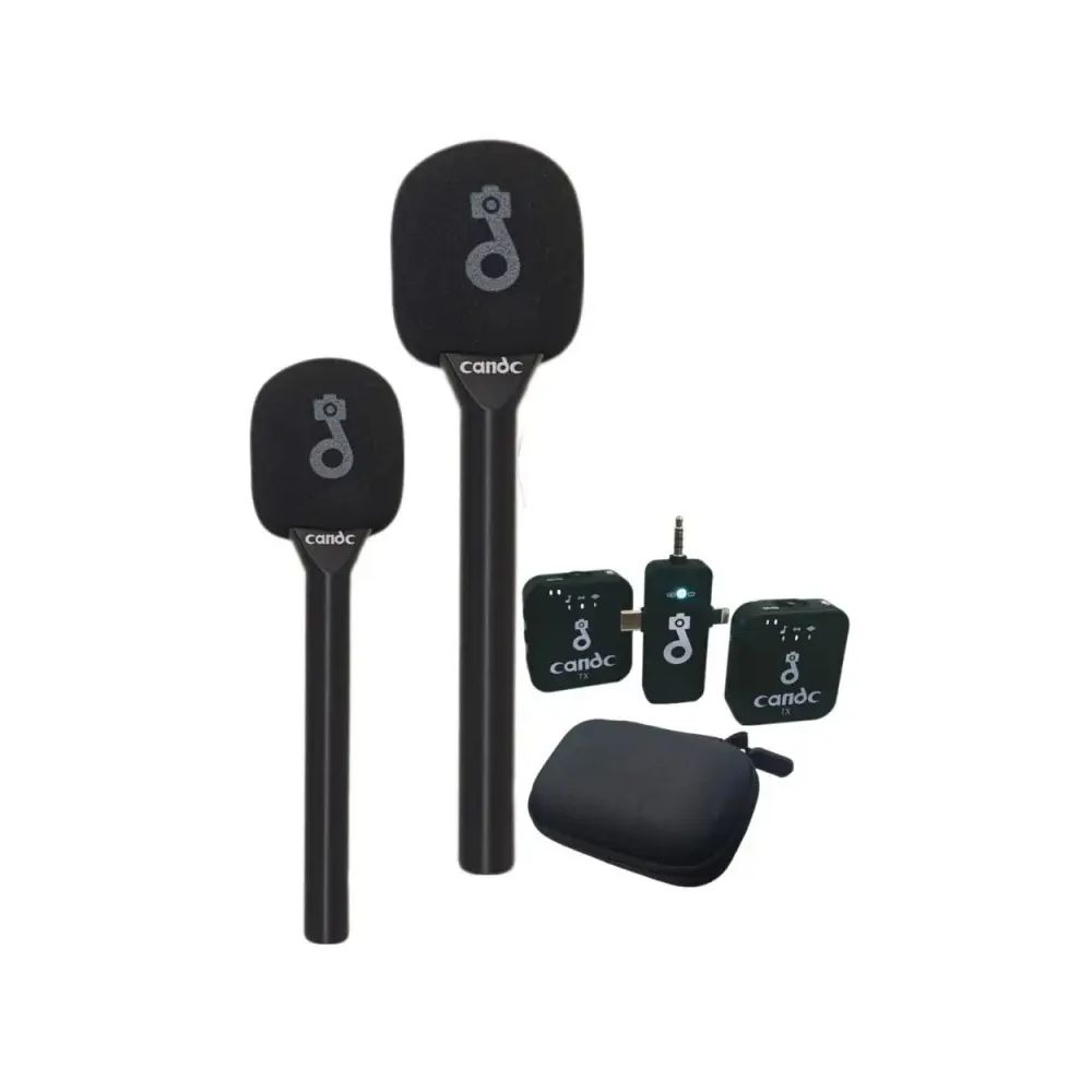 Candc Dual Mic Interview Microphone