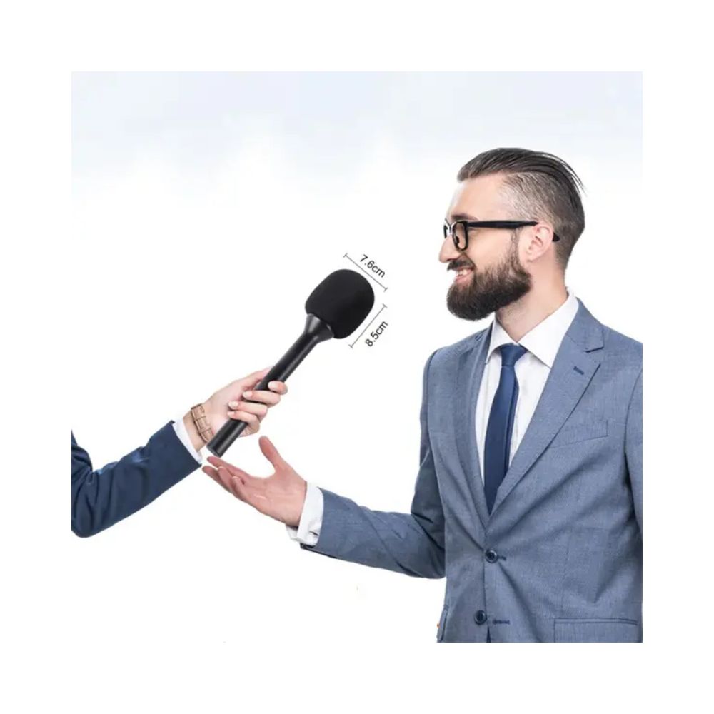 Candc Dual Mic Interview Microphone