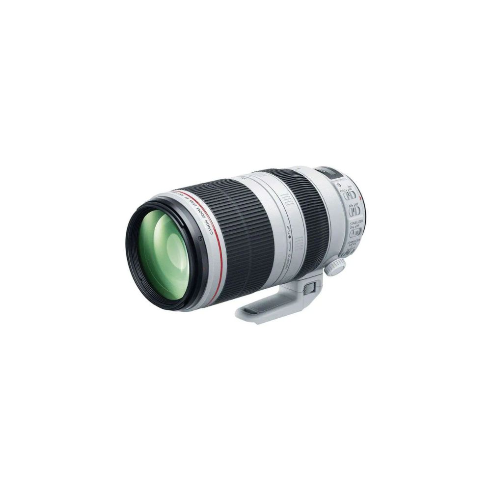 Canon EF 100-400mm f/4.5-5.6L IS II USM Lens