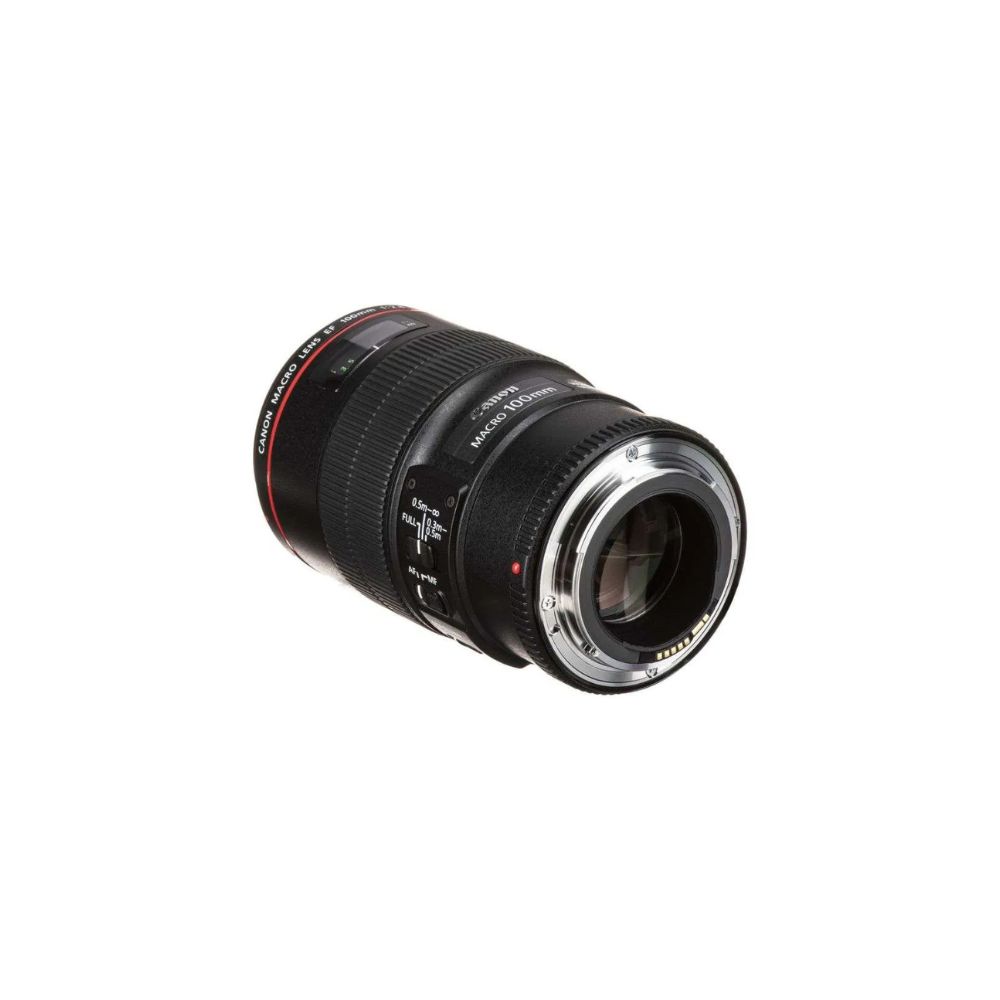 Canon EF 100mm f/2.8L Macro IS USM Lens
