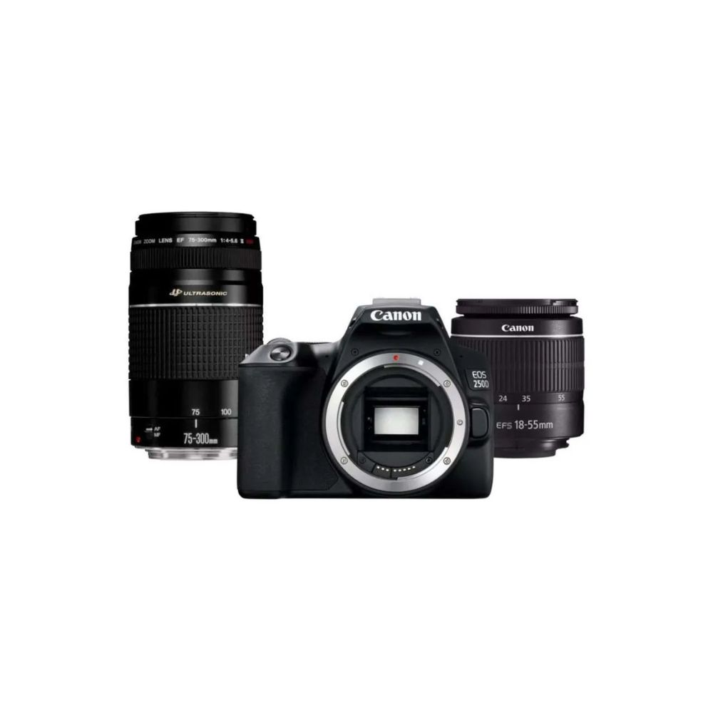 Canon EOS 250D Essential Double Lens Kit