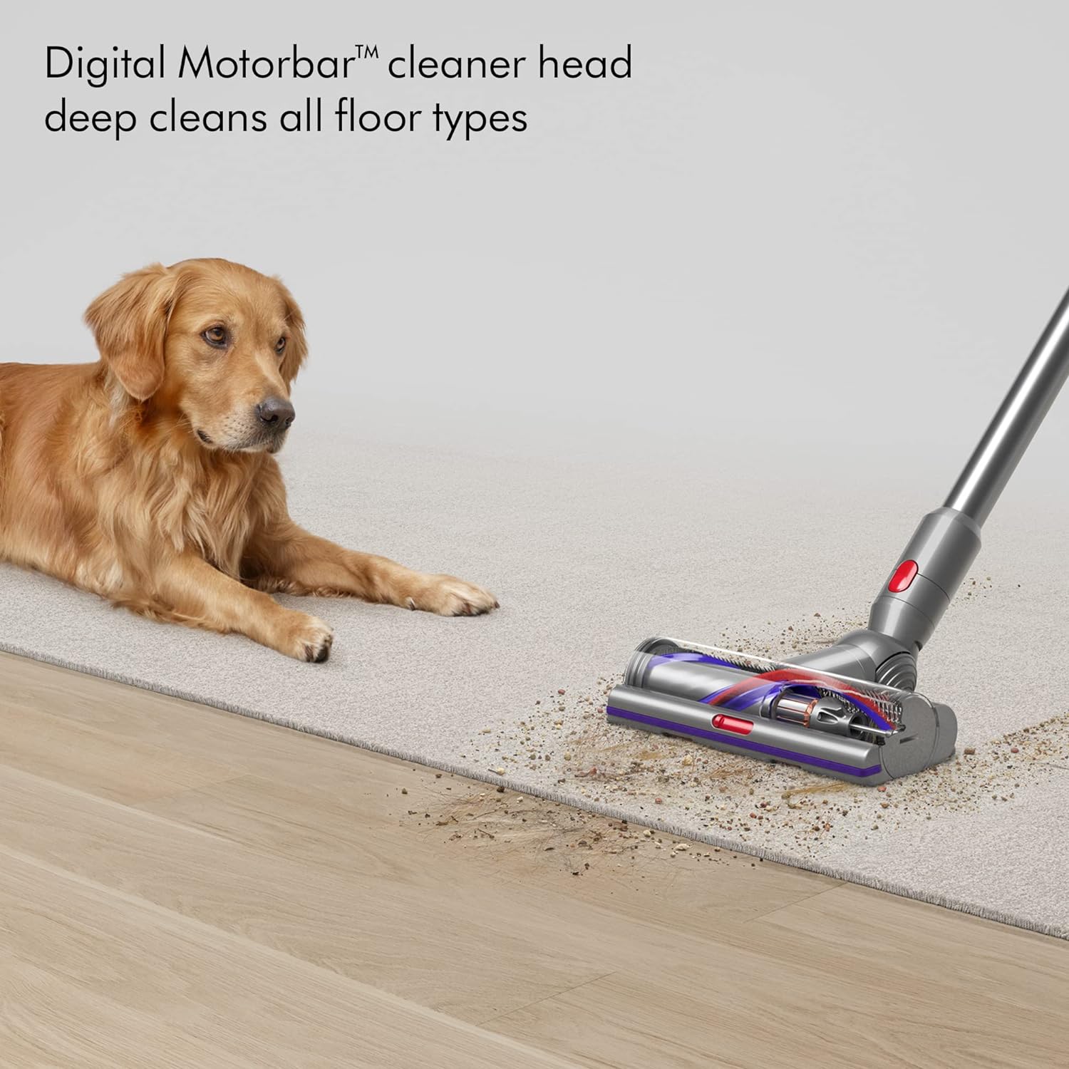 Dyson V15s Detect Submarine