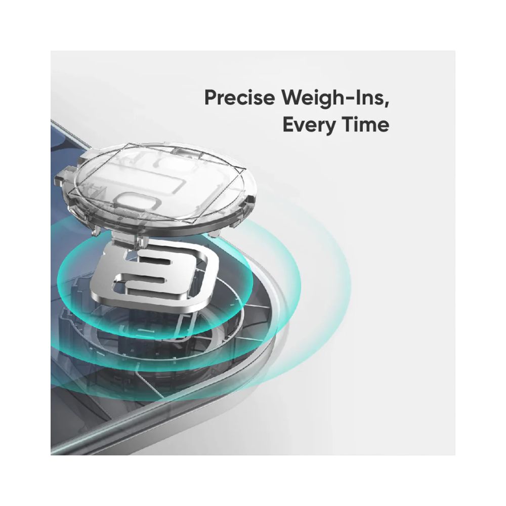 Eufy Smart Scale P3
