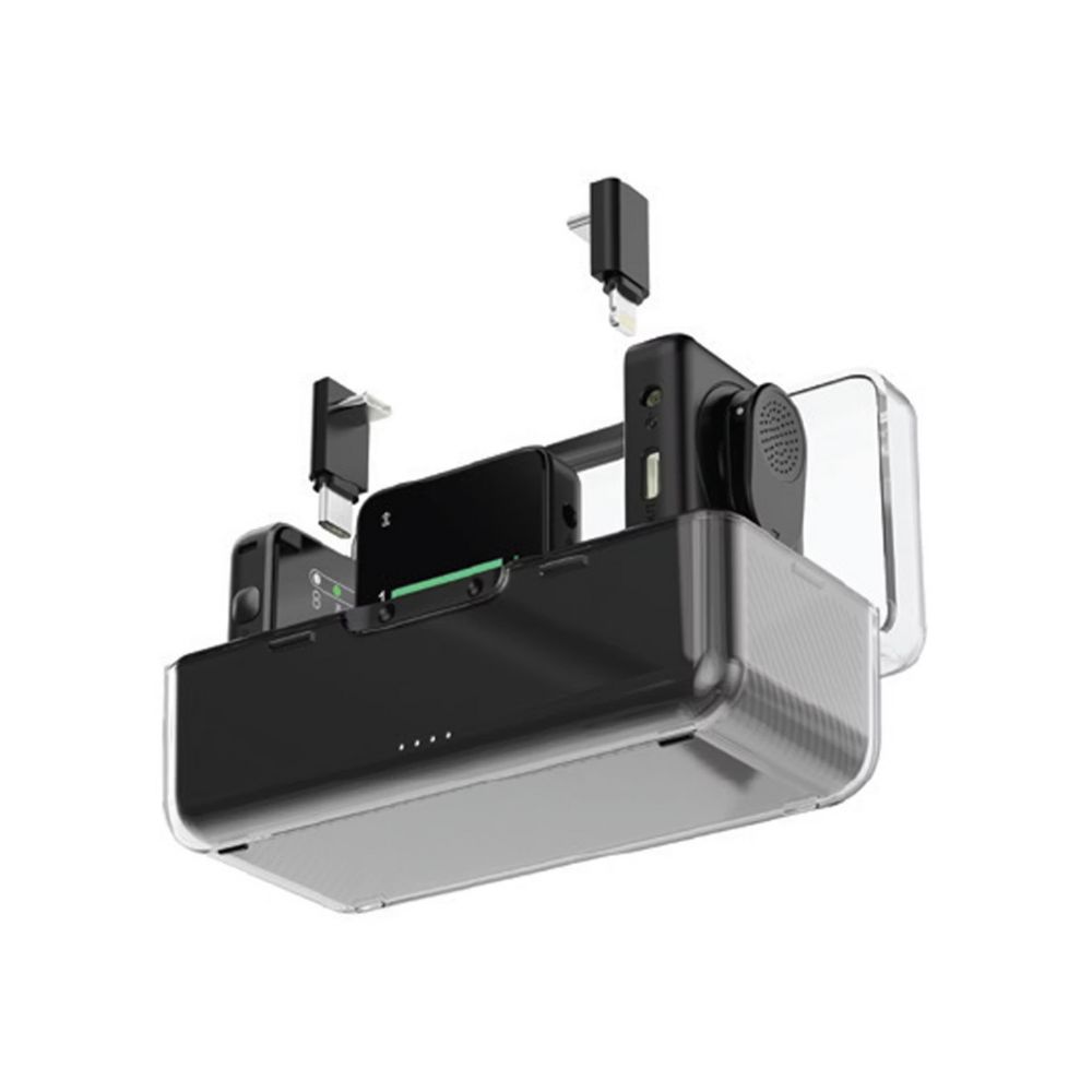 Green Lion GLM Professional Wireless Microphone