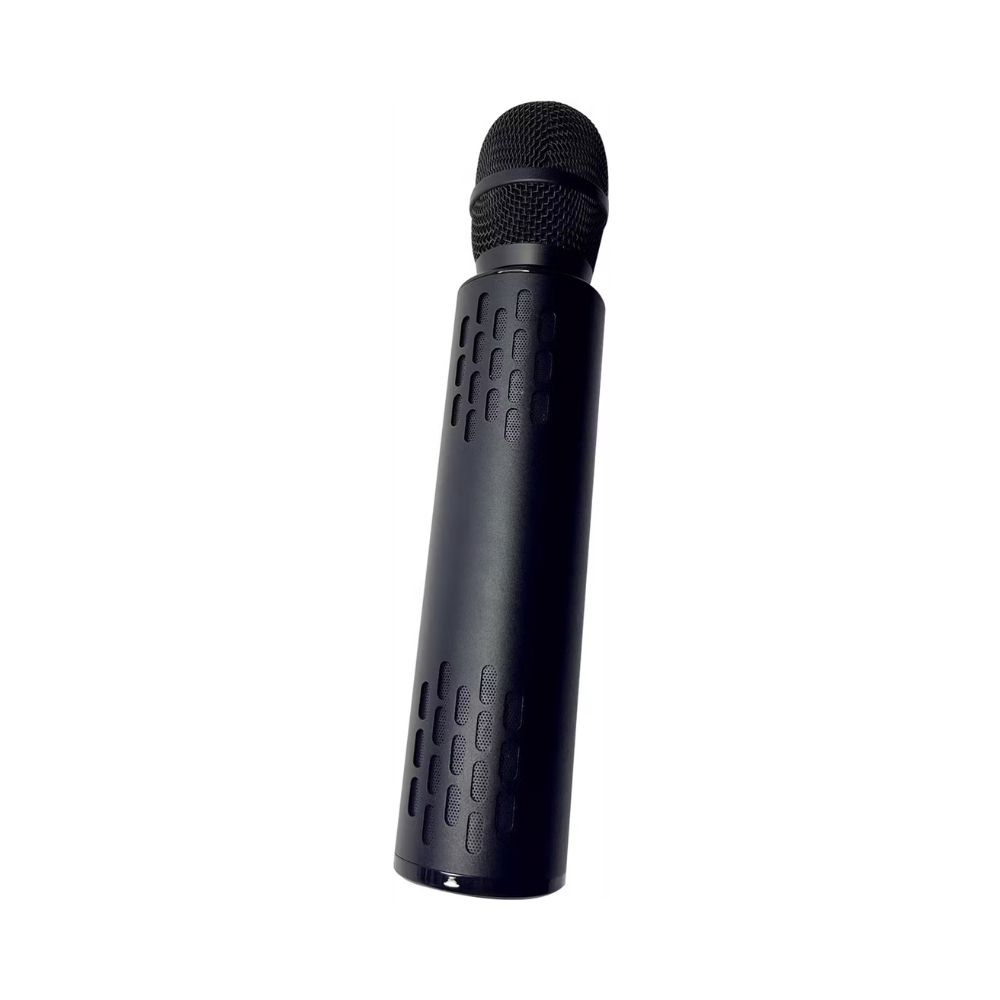 Green Lion Karaoke Microphone