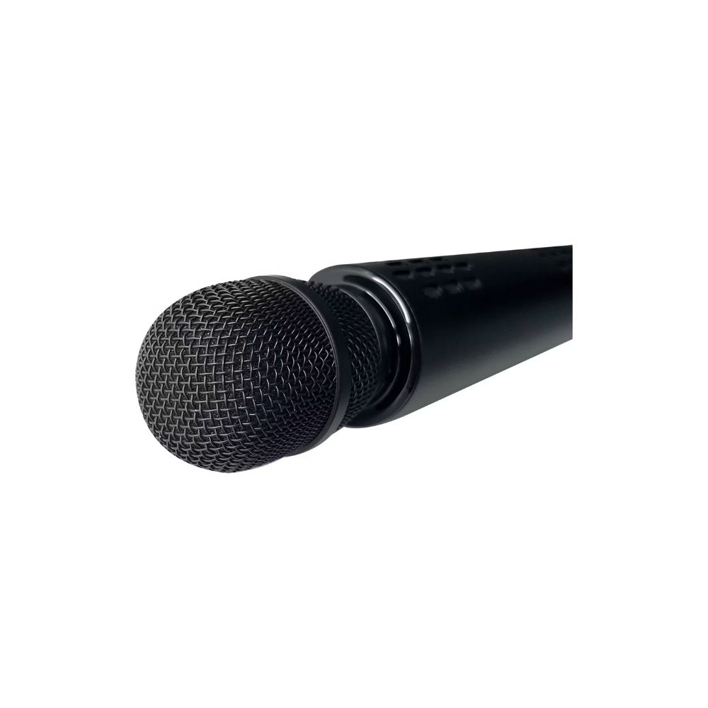 Green Lion Karaoke Microphone