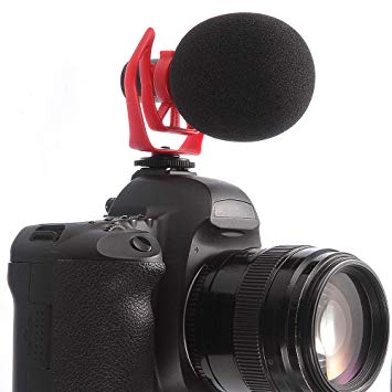 LENSGO LYM-DMM1 Condenser Microphone