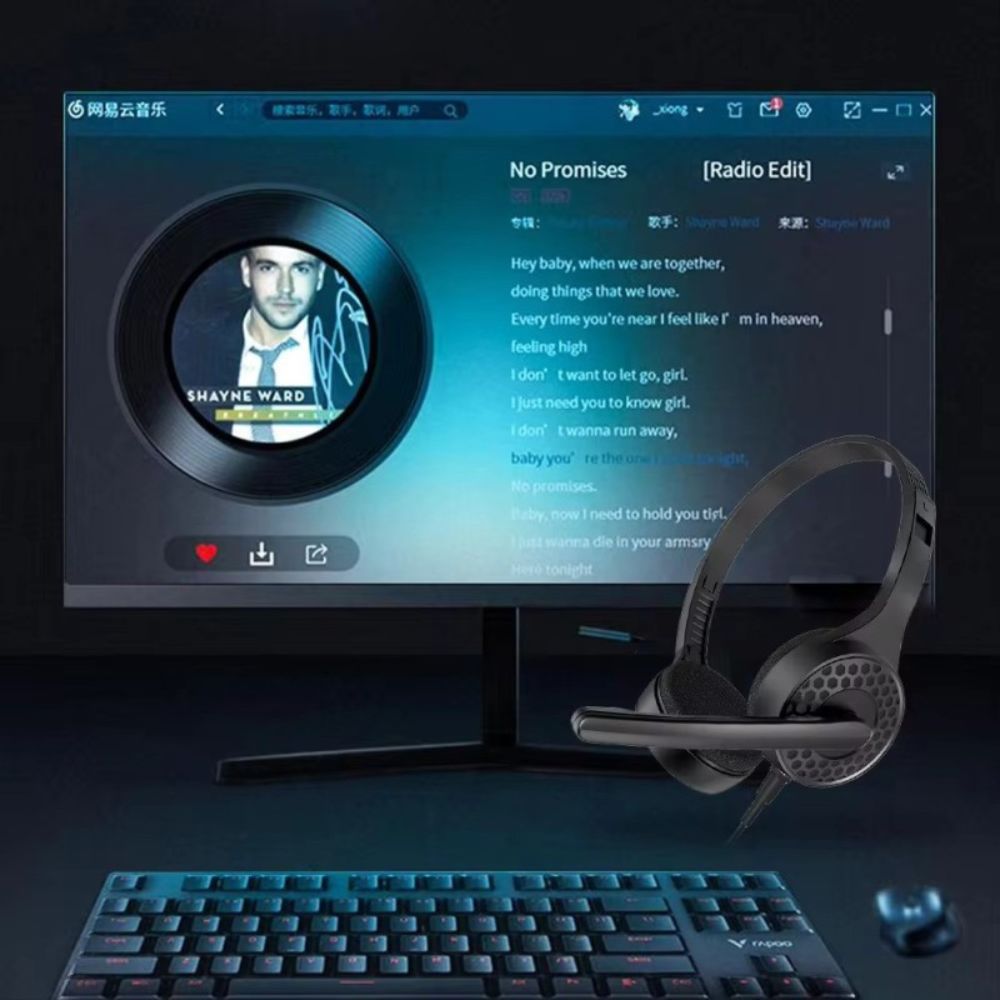 Misde A1 Portable Headphones