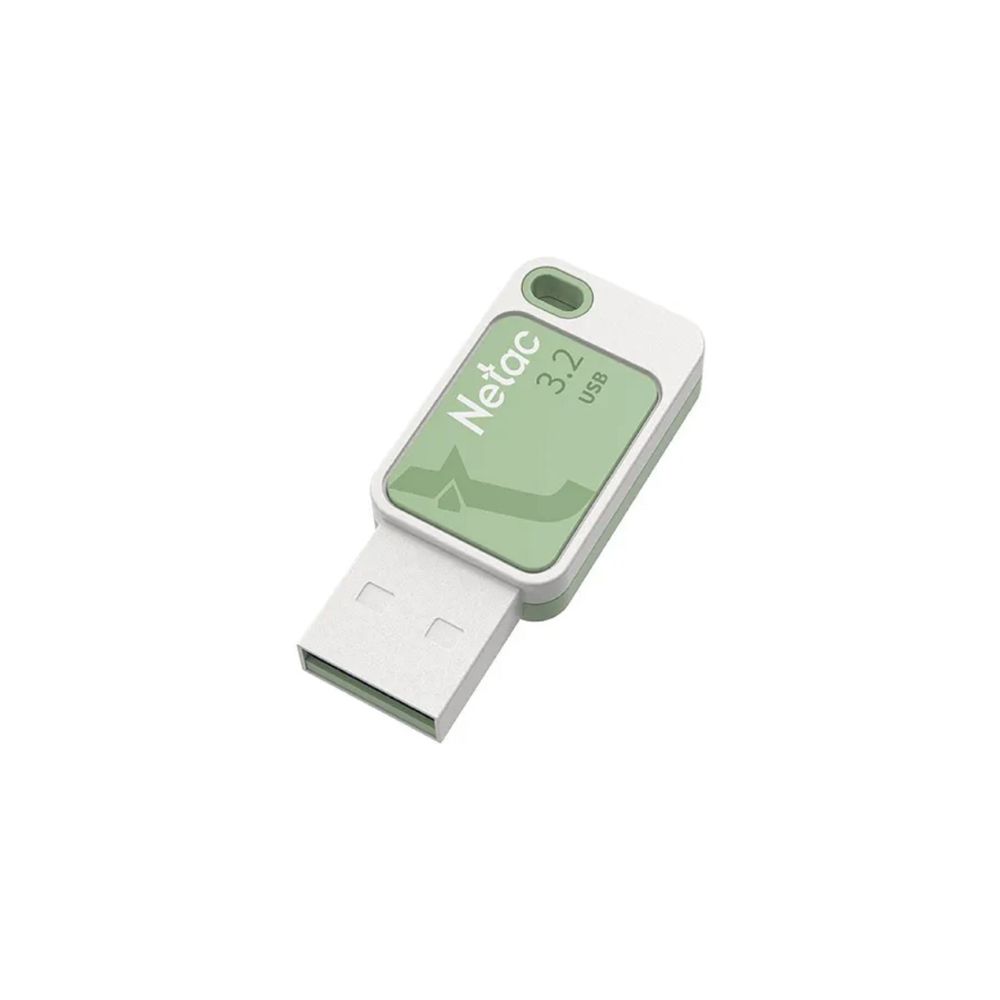 Netac UA31 | High-Performance USB 3.2 Flash Drive