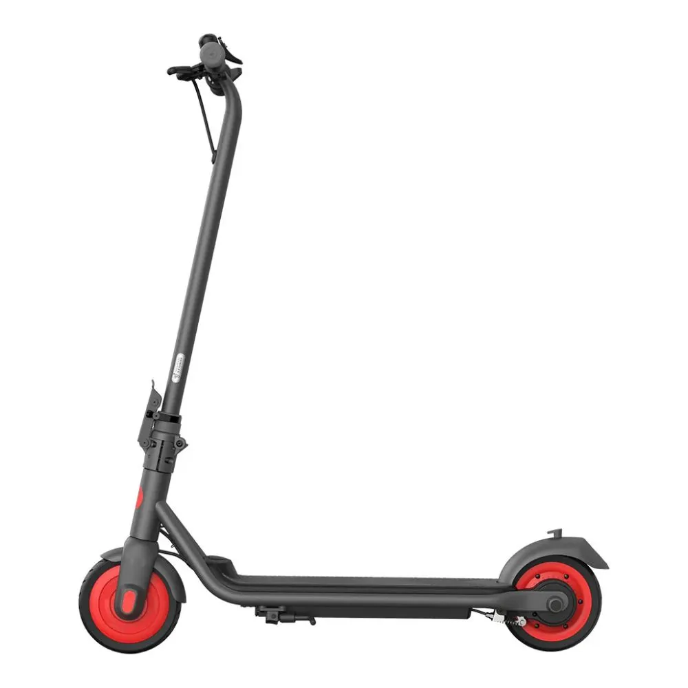 Segway Ninebot Zing C20 Electric Scooter