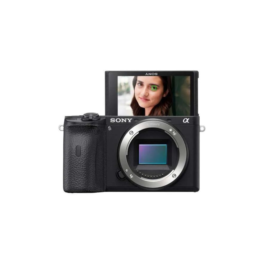 Sony a6600 Mirrorless Camera