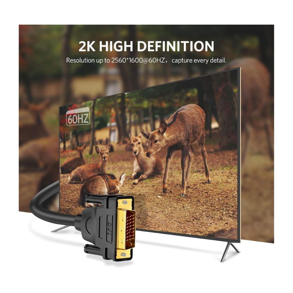 Ugreen 11604 DVI 24+1 Dual Link Male to Male Video Cable 2 Meter