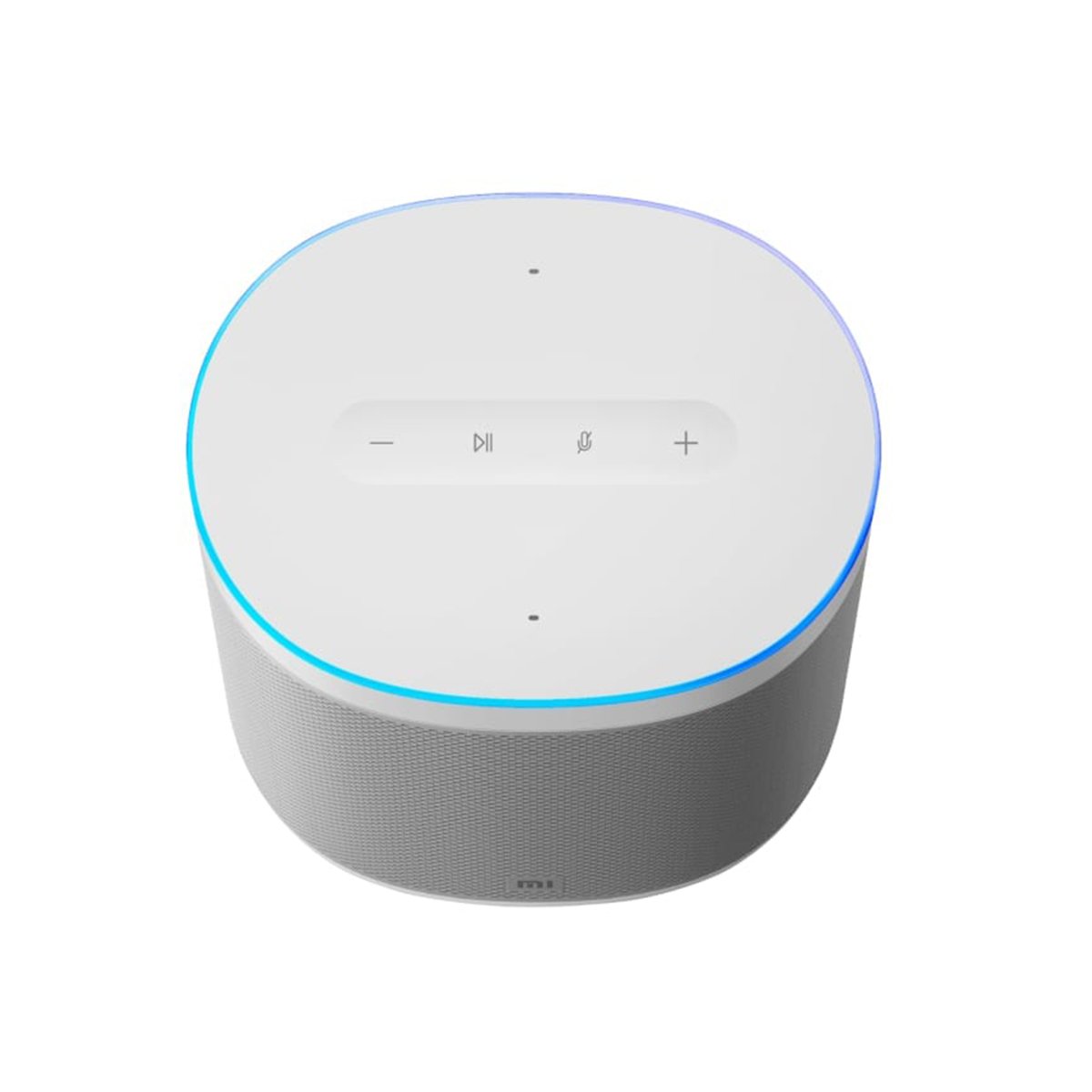 Xiaomi Smart Speaker